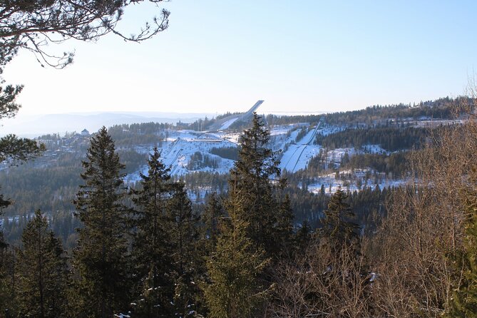 Panoramic Peaks and Oslo’s Best Fjord Views Hike - Should you book Panoramic Peaks and Oslo’s Best Fjord Views Hike?