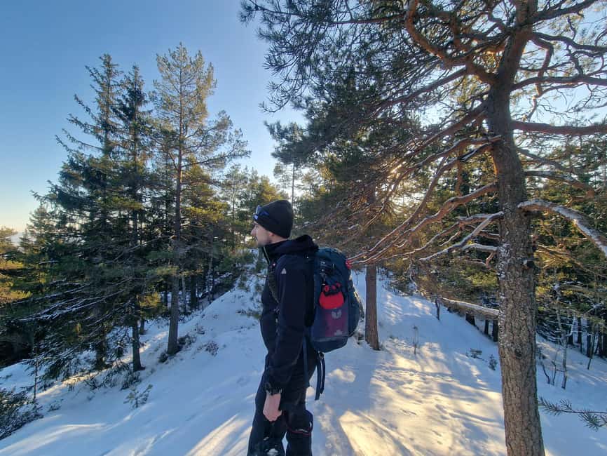 Panoramic Peaks – Oslo’s Most Beautiful Fjord Views Hike - Key points at a glance