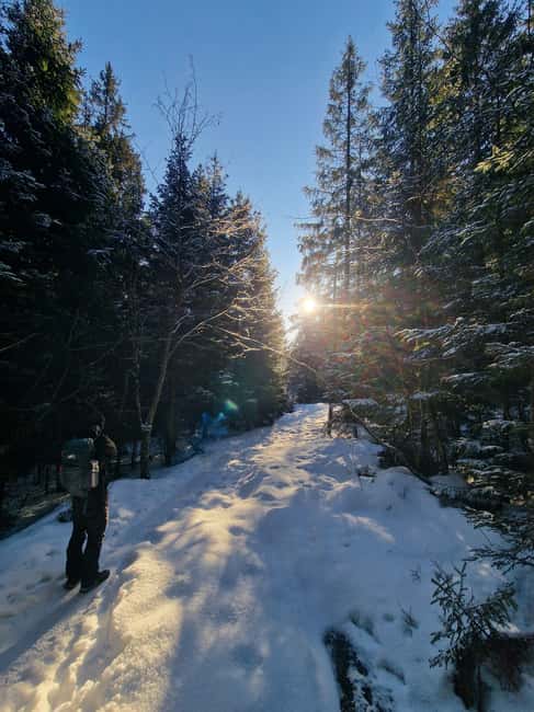 Panoramic Peaks – Oslo’s Most Beautiful Fjord Views Hike - Language, cancellation, and simple planning details