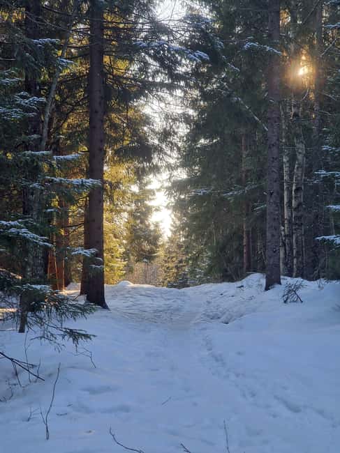 Panoramic Peaks – Oslo’s Most Beautiful Fjord Views Hike - The summit brings the broadest view