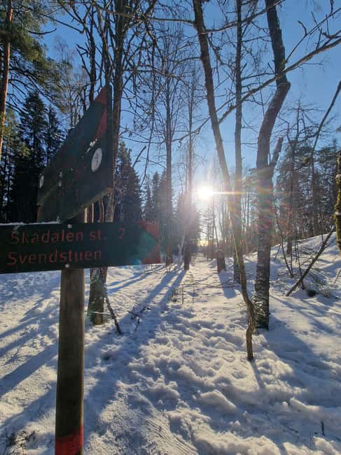 Panoramic Peaks – Oslo’s Most Beautiful Fjord Views Hike - What the four-hour schedule really means