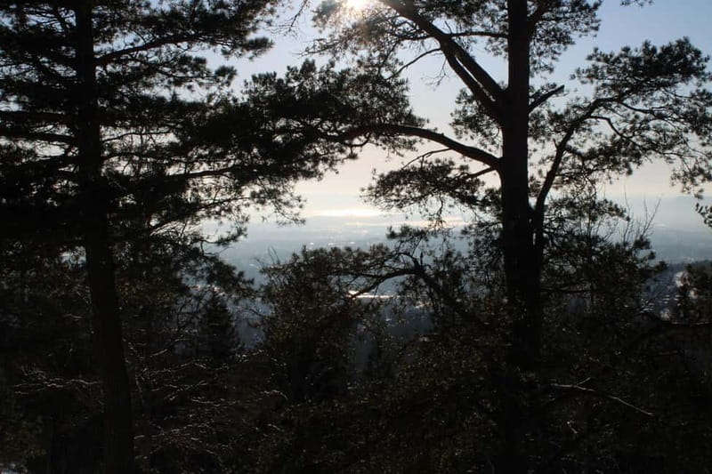 Panoramic Peaks – Oslo’s Most Beautiful Fjord Views Hike - Who will enjoy this hike most?