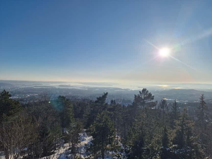 Panoramic Peaks – Oslo’s Most Beautiful Fjord Views Hike - A proper walk through Vettakollen’s forest
