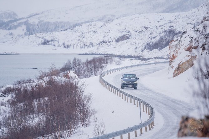 Private Arctic Fjord Roadtrip with Scenic Picnic from Tromso - What the private van changes