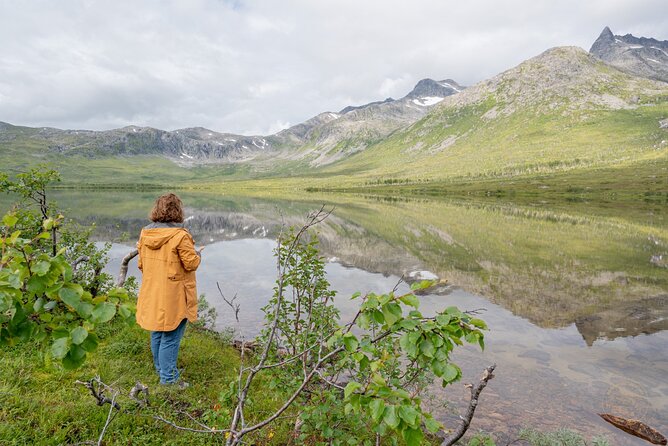 Private Arctic Fjord Roadtrip with Scenic Picnic from Tromso - Who should book this road trip