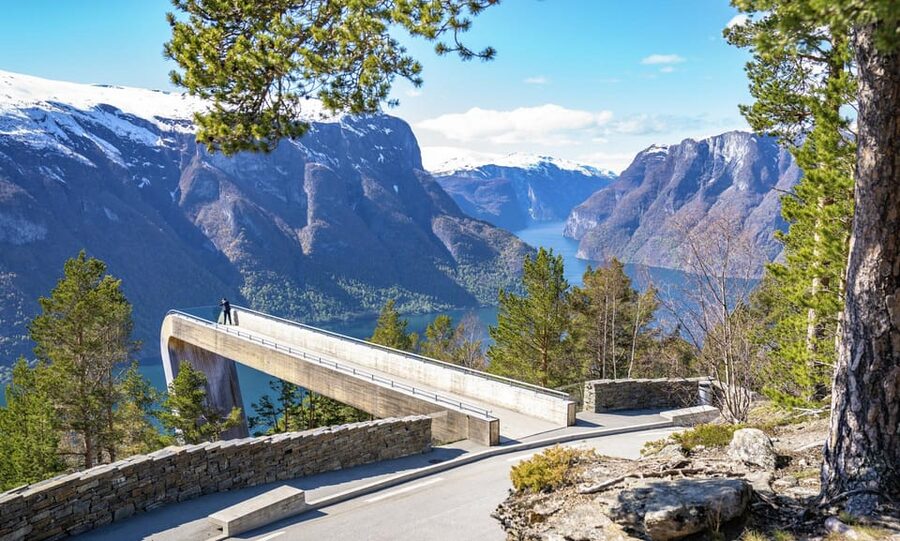Private Day Tour- Flam Railway & Fjord Cruise From Bergen - The Flåm Railway from Myrdal to Flåm