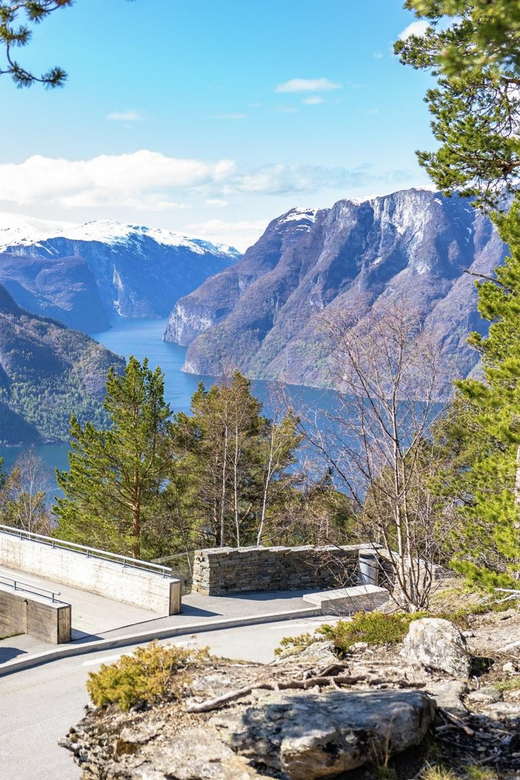 Private Day Tour- Flam Railway & Fjord Cruise From Bergen - Who will enjoy this full-day route