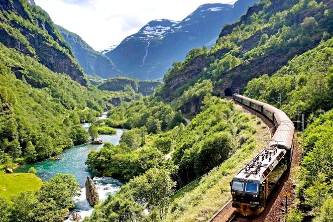 Private Full-Day Round Trip from Oslo to Sognefjord via Flåm Railway - The drivers can make or break the experience