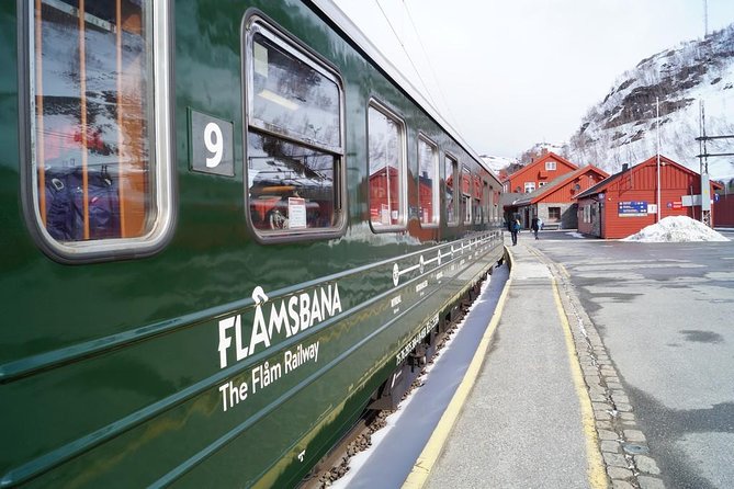 Private guided, Bergen to Oslo - Nærøyfjord Cruise & Flåm Railway - Crossing Hallingskarvet on the Bergen Railway