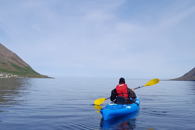 Private: Guided kayak tour in Siglufjörður / Siglufjordur. - Key points to know before you paddle