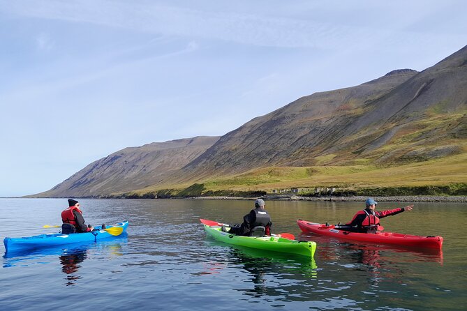 Private: Guided kayak tour in Siglufjörður / Siglufjordur. - Getting warm and ready in Icelandic weather