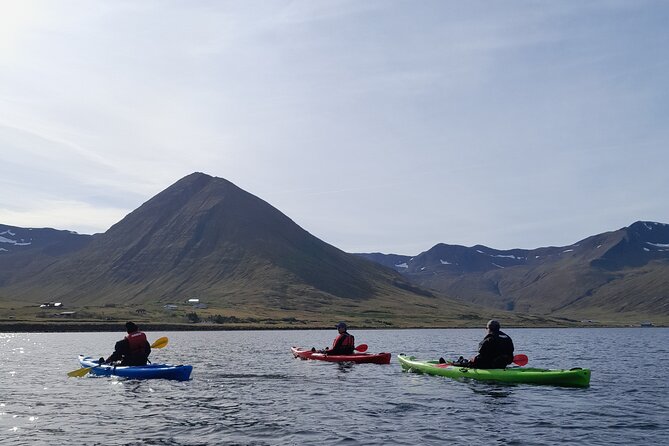 Private: Guided kayak tour in Siglufjörður / Siglufjordur. - Is $508.04 good value for your group?