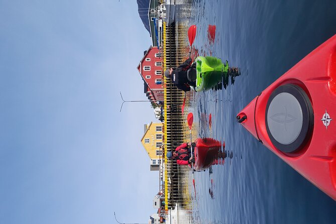 Private: Guided kayak tour in Siglufjörður / Siglufjordur. - Who will enjoy this most?