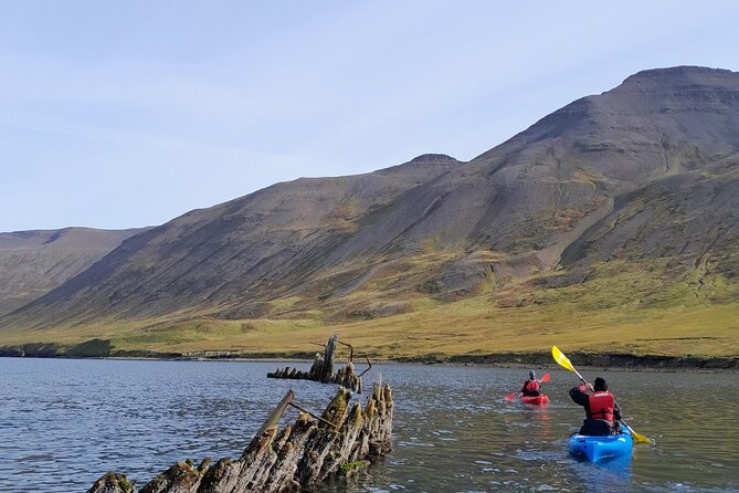 Private: Guided kayak tour in Siglufjörður / Siglufjordur. - Learning the basics before leaving shore