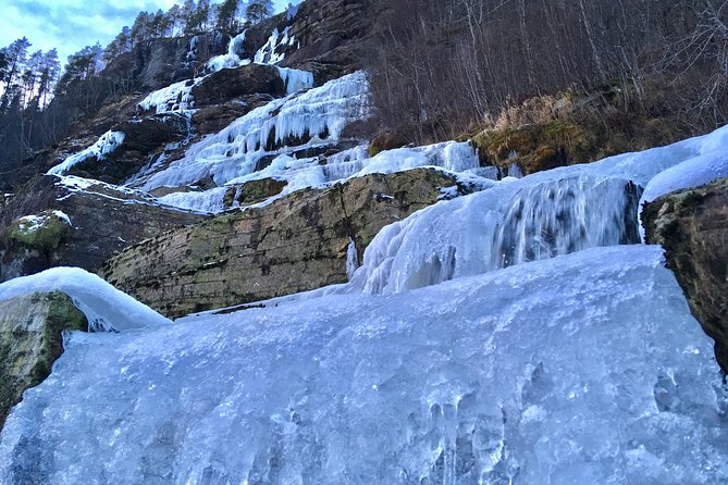 PRIVATE GUIDED TOUR: Highlights of Norway – Trip to the Sognefjord – WINTER - Flåm, the railway, and the price of a famous ride