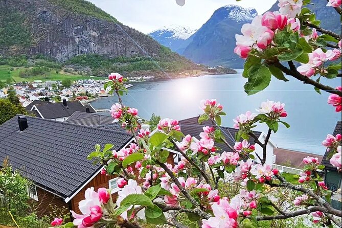 Private Guided Tour to Oslo Nærøyfjord Cruise and Flåm Railway - Gudvangen and the Nærøyfjord cruise