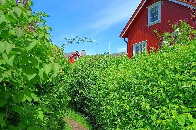 Private Oslofjord Island Hopping Tour - Hovedøya: monastery ruins, woods, and a possible swim