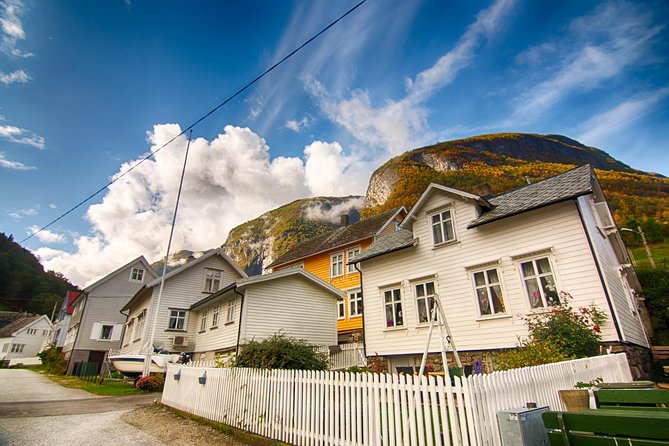 Private tour to Sognefjord and Flåm from Bergen, 24 hr refundable - Nærøyfjord and Aurlandsfjord by boat