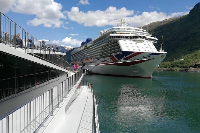 Private tour - Viking Village, Nærøyfjord Cruise and Flåm Railway - The Nærøyfjord is the visual heart of the day