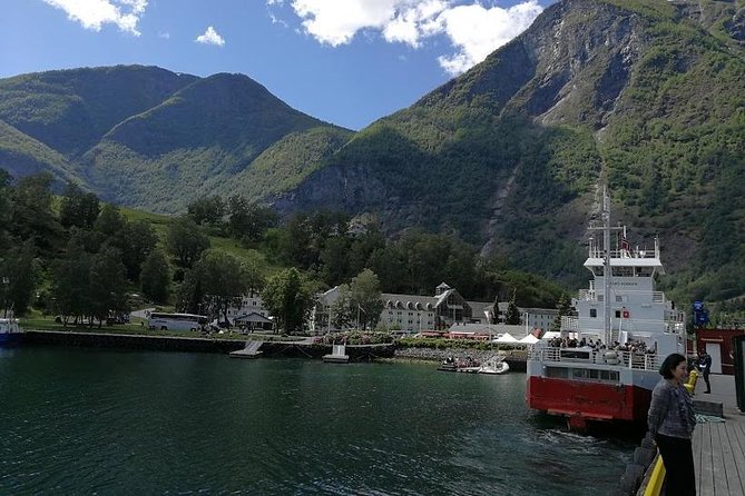 Private tour - Viking Village, Nærøyfjord Cruise and Flåm Railway - The Flåm Railway delivers the big railway moment