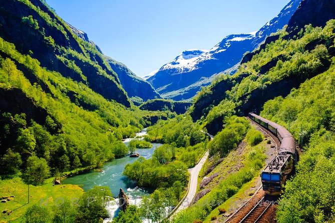 Private tour - Viking Village, Nærøyfjord Cruise and Flåm Railway - Myrdal and the Bergen Railway complete the loop