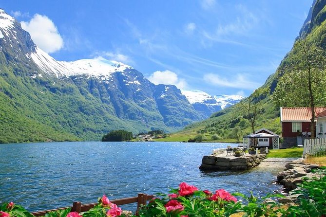Private tour - Viking Village, Nærøyfjord Cruise and Flåm Railway - What the private guide adds