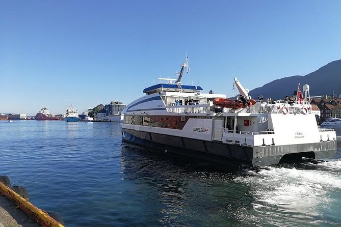 Private tour - Viking Village, Nærøyfjord Cruise & Flåm Railway - Aurlandsfjord connects the cruise to Flåm