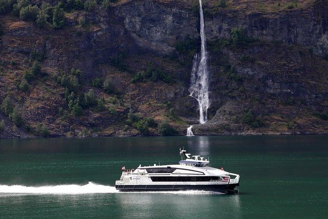 Private tour - Viking Village, Nærøyfjord Cruise & Flåm Railway - The Flåm Railway is the day’s signature ride