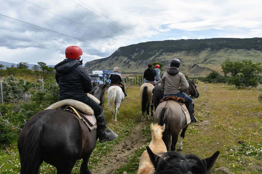 Puerto Natales: Horseback Riding to Dorotea Fjord Lookout - Key points to know before riding