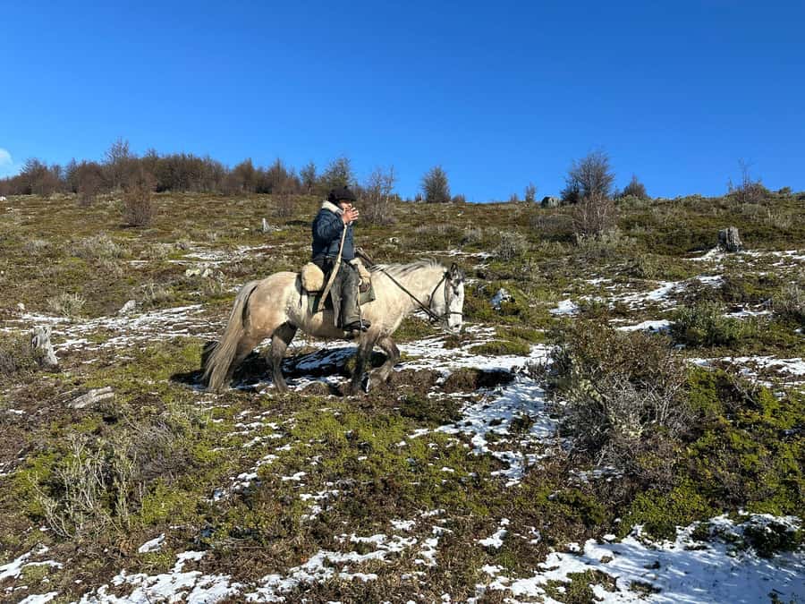 Puerto Natales: Horseback Riding to Dorotea Fjord Lookout - Why Cerro Dorotea makes a good half-day outing