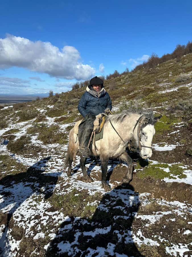 Puerto Natales: Horseback Riding to Dorotea Fjord Lookout - Spanish-only guiding and group atmosphere