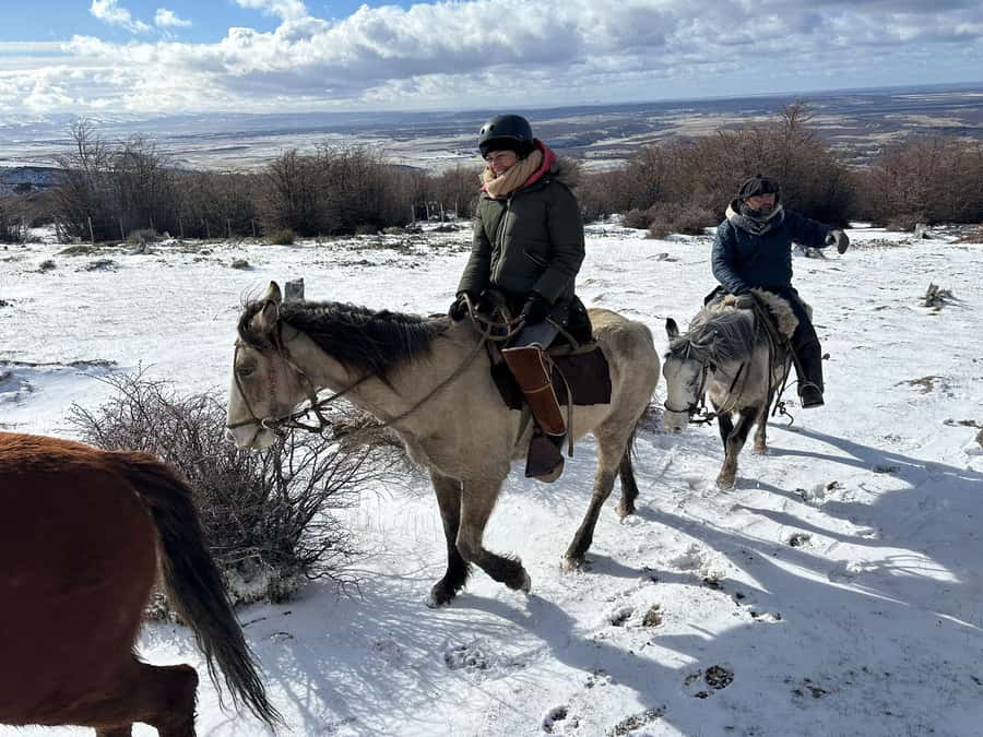 Puerto Natales: Horseback Riding to Dorotea Fjord Lookout - Pickup in Puerto Natales and the trip to the base
