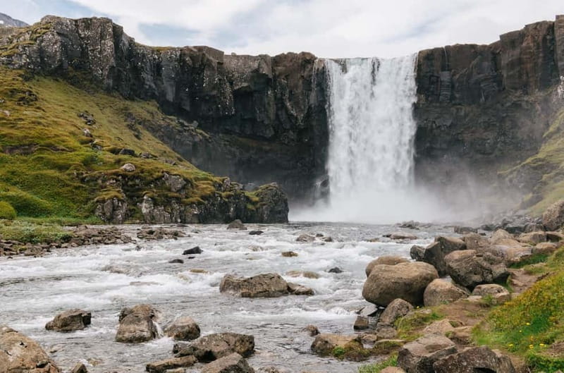 Puffin & Gufufoss Waterfall Tour from Seydisfjordur Port - Why the puffins make this East Iceland tour special