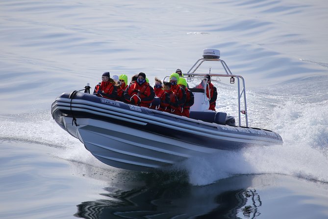 RIB boat express: Whales, Eyjafjord and Akureyri - How the guides shape the experience
