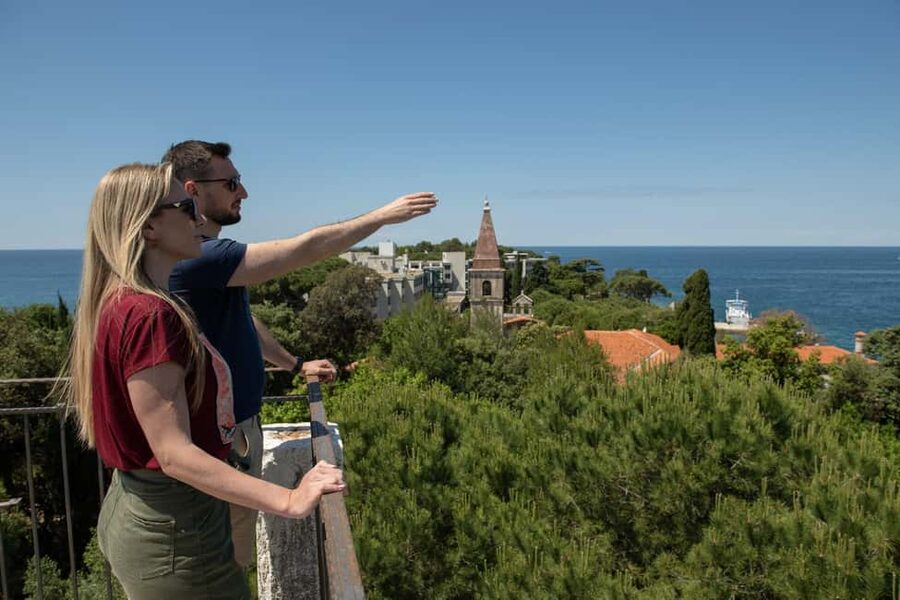 Rovinj or Vrsar: Rovinj Islands and Lim Fjord Speedboat Tour - Two Sisters and the quieter southern coves