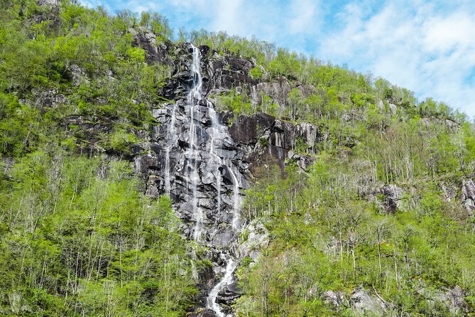 Scenic RIB adventure to Hardangerfjord & Fyksesund from Øystese - Herandsholmen: houses in the heart of the fjord