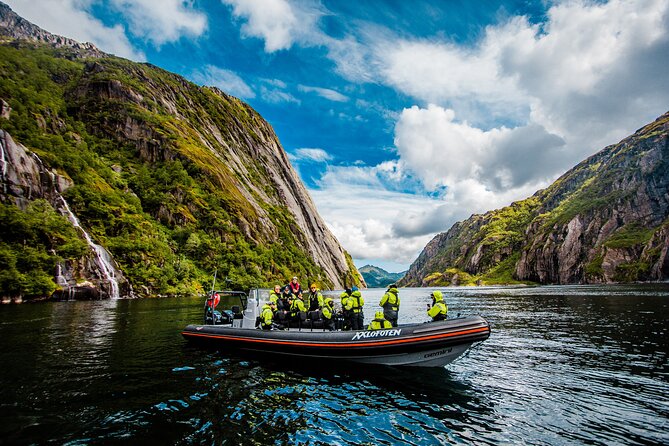 Sea Eagle Safari from Svolvær to Trollfjorden - Is $156.56 a fair price?