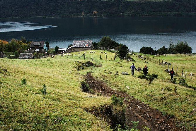 Sea Kayaking the first fjord of Patagonia - Starting at 8:30 am beside Lake Llanquihue
