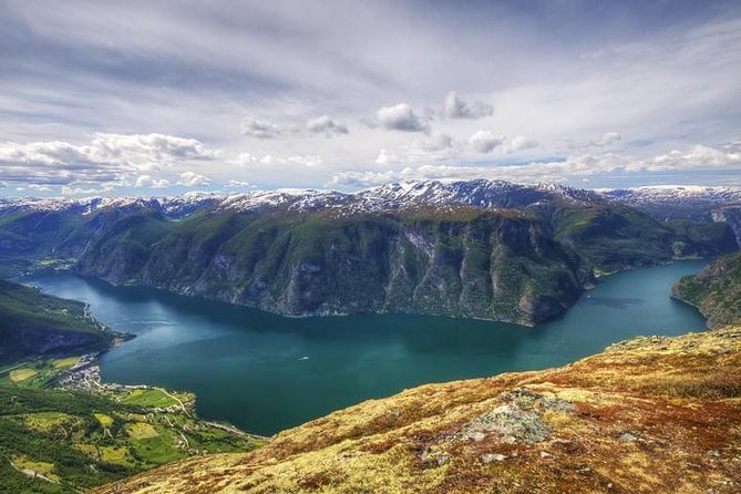 Self-Guided 22-Hour Round Trip From Oslo To Sognefjord With Flåm Railway - Myrdal to Flåm on the Flåm Railway