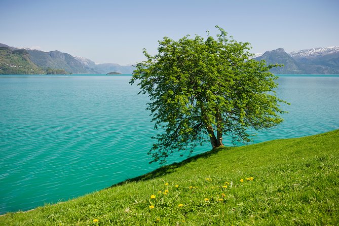 Self-Guided 22-Hour Round Trip From Oslo To Sognefjord With Flåm Railway - The two-hour cruise from Flåm to Gudvangen