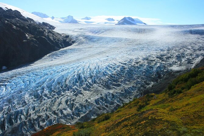 Seward and Kenai Fjords National Park Guided Tour with Lunch - Why the dog sled ride is the star of the day