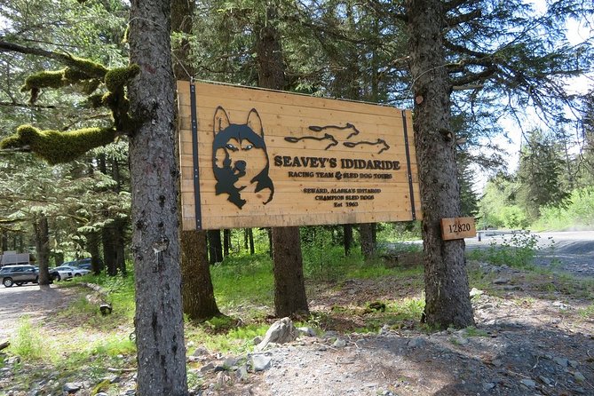 Seward and Kenai Fjords National Park Guided Tour with Lunch - Exit Glacier: choose the walk that fits you