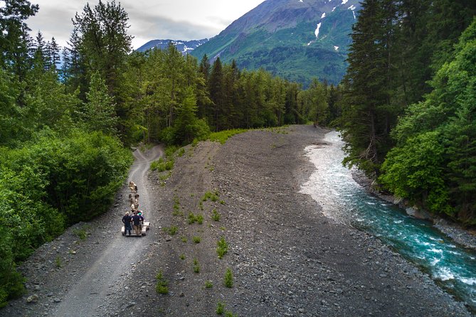 Seward and Kenai Fjords National Park Guided Tour with Lunch - A guide who connects the stops