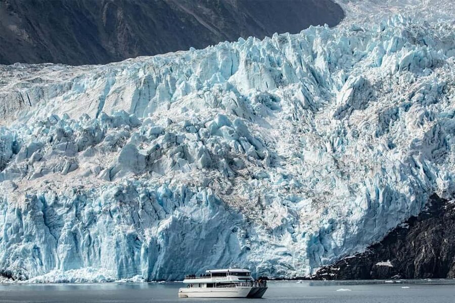 Seward: Captain's Choice Kenai Fjords National Park Tour - The Alaska Maritime Wildlife Refuge and its seabird cliffs