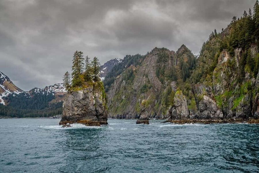 Seward: Captain's Choice Kenai Fjords National Park Tour - Weather, comfort, and seasickness