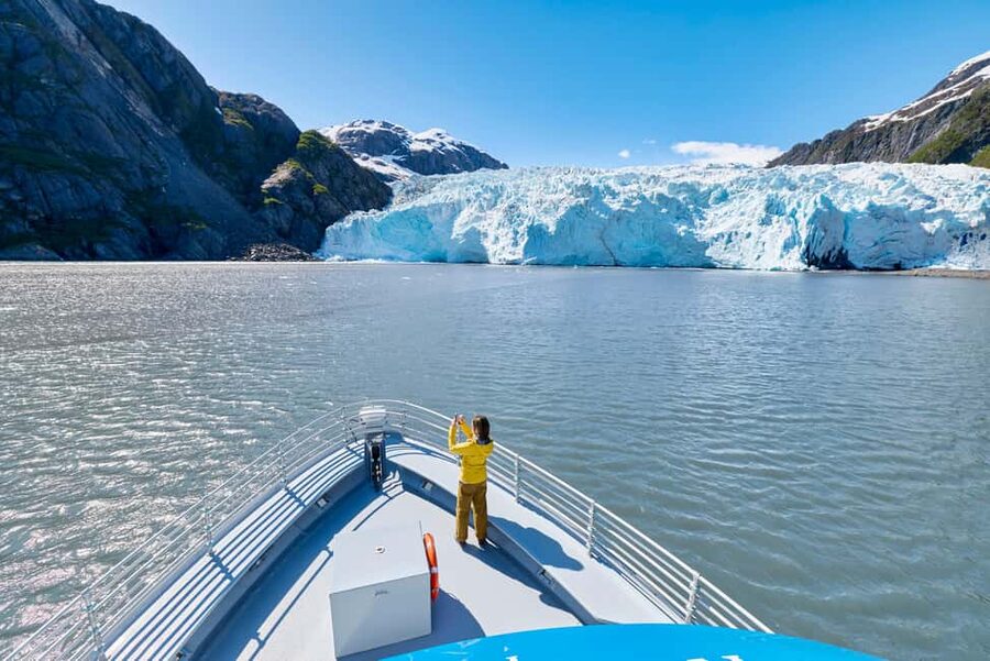 Seward: Captain's Choice Kenai Fjords National Park Tour - Searching for whales, orcas, and otters
