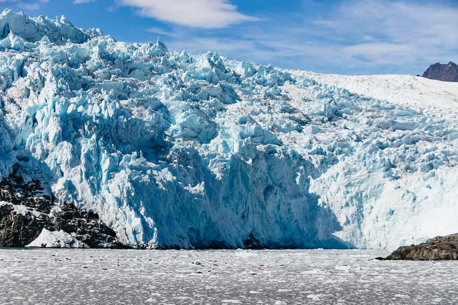 Seward: Kenai Fjords National Park Catamaran Cruise w/Lunch - Key points at a glance