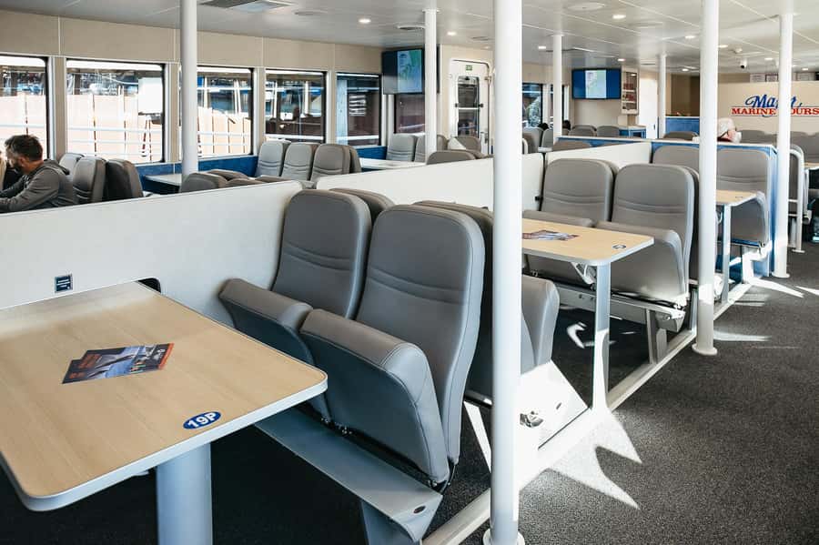 Seward: Kenai Fjords National Park Catamaran Cruise w/Lunch - Wildlife watching requires patience