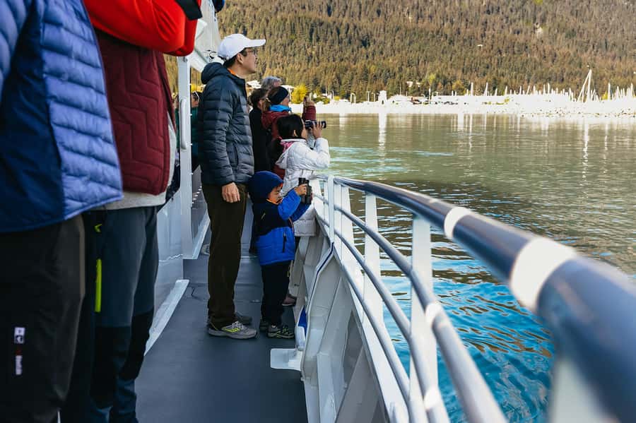 Seward: Kenai Fjords National Park Catamaran Cruise w/Lunch - Tidewater glaciers and the sound of calving ice