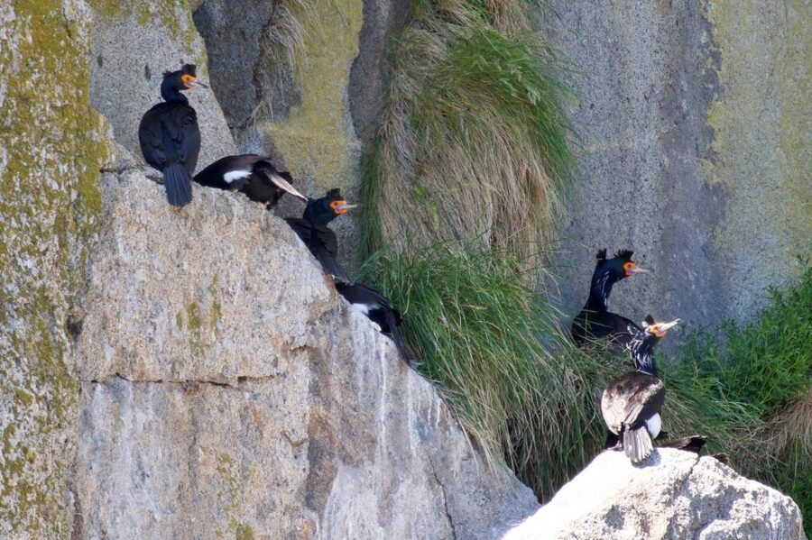 Seward: Kenai Fjords National Park Extended Cruise - Is the $325 Price Fair?